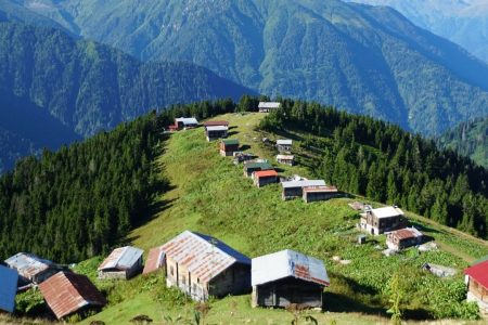 Günübirlik Pokut Sal Yaylası Turu