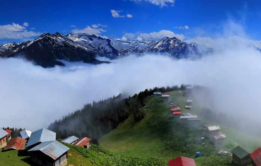 Günübirlik Pokut Sal Yaylası Turu