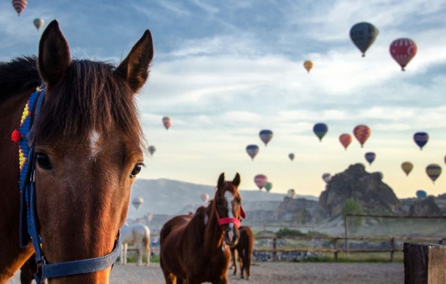 Kapadokya Turu / Fırsat Tur / 1 Gece 2 Gün