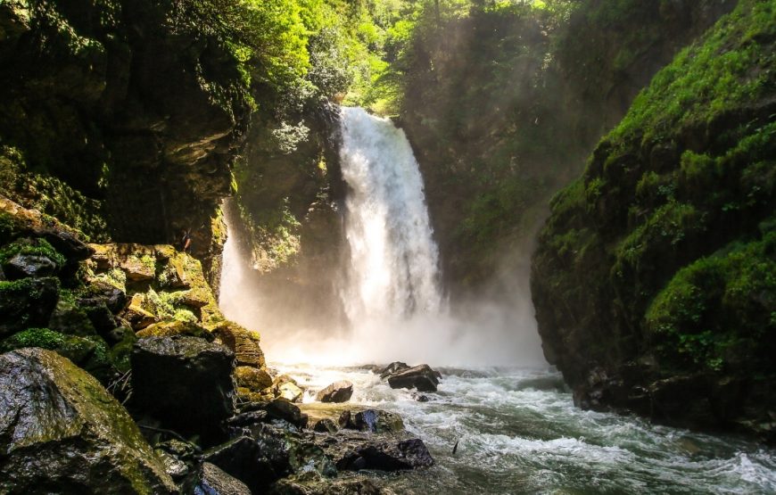 Günübirlik Pokut Sal Yaylası Turu