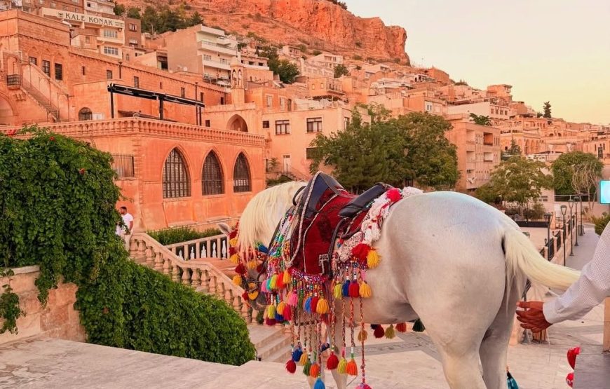 Trabzon Çıkışlı Mardin Midyat Turu (1 Gece Otel Konaklamalı)