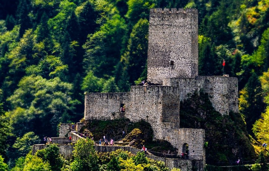 Günübirlik Ayder Yaylası Paket Turu